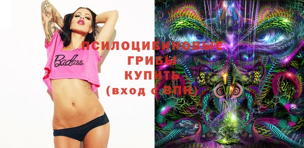 спайс Алексин