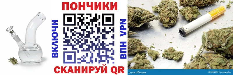 МЕГА ССЫЛКА  Чадан  Бошки марихуана ГИДРОПОН 
